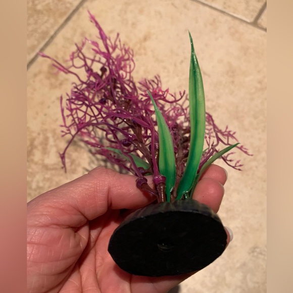 Top Fin Coral Aquarium Plant - Picture 6 of 8